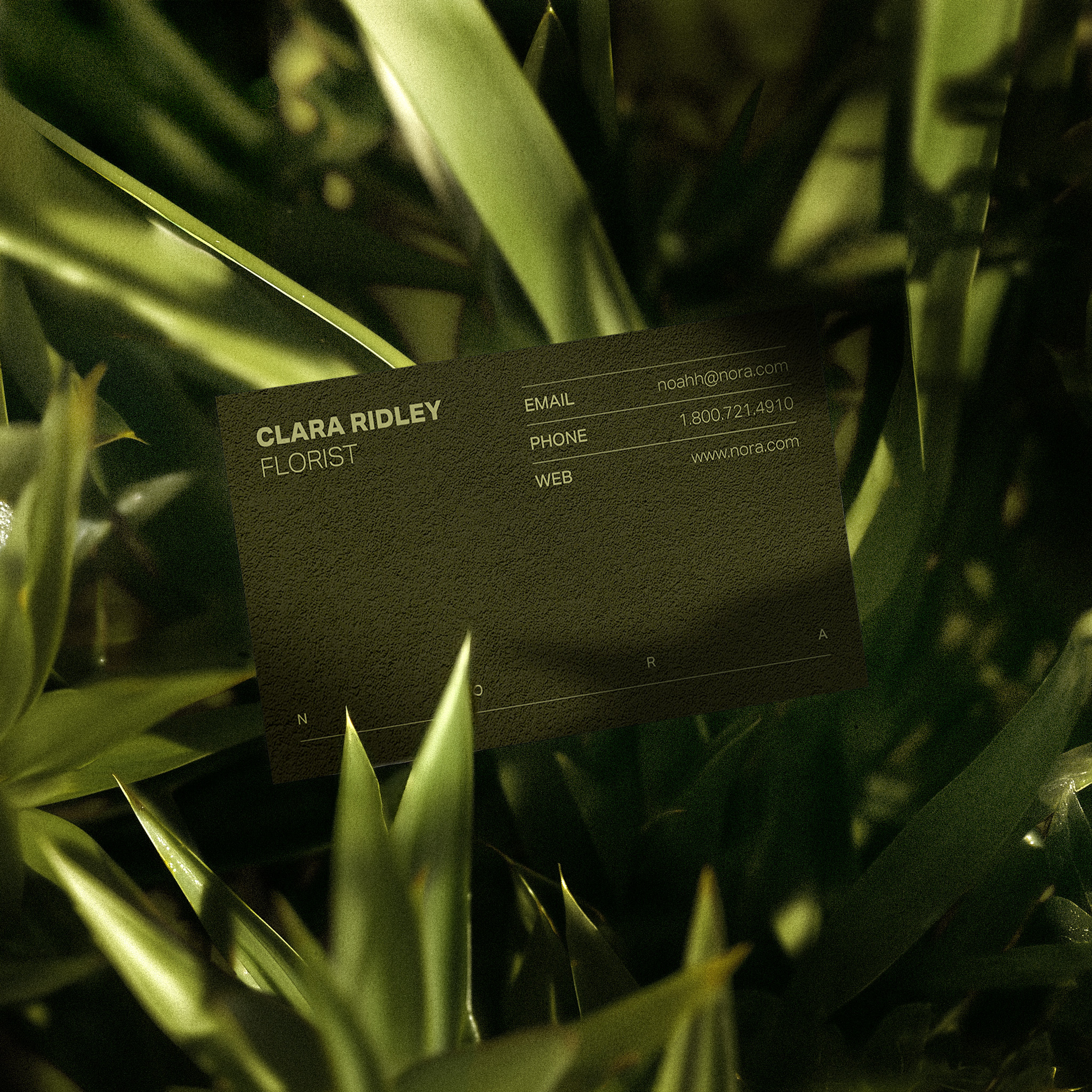 Case study image 4.2